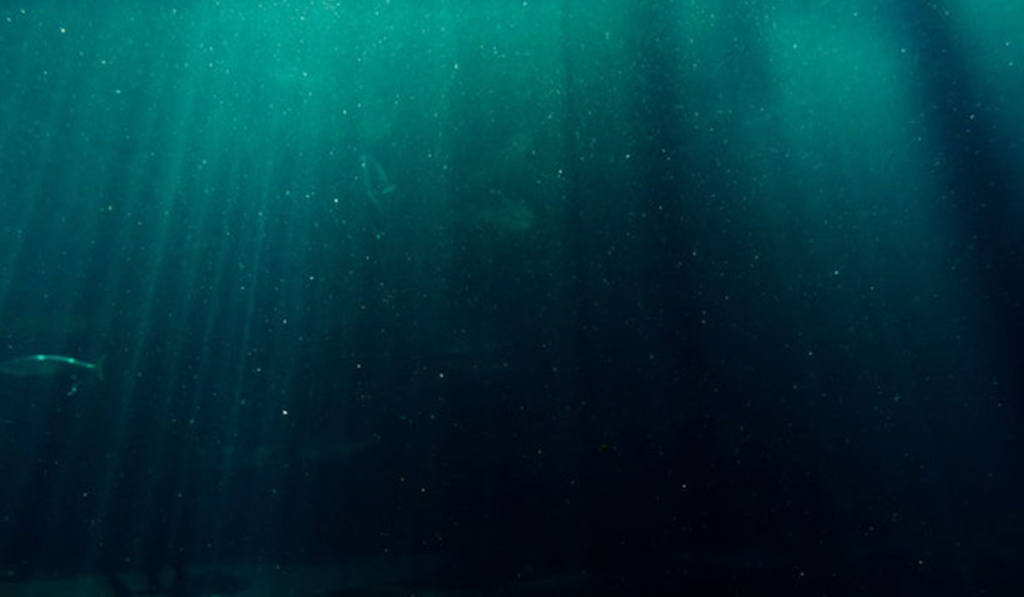 Leia mais sobre o artigo Salmon Fish Farms with Floating Cages